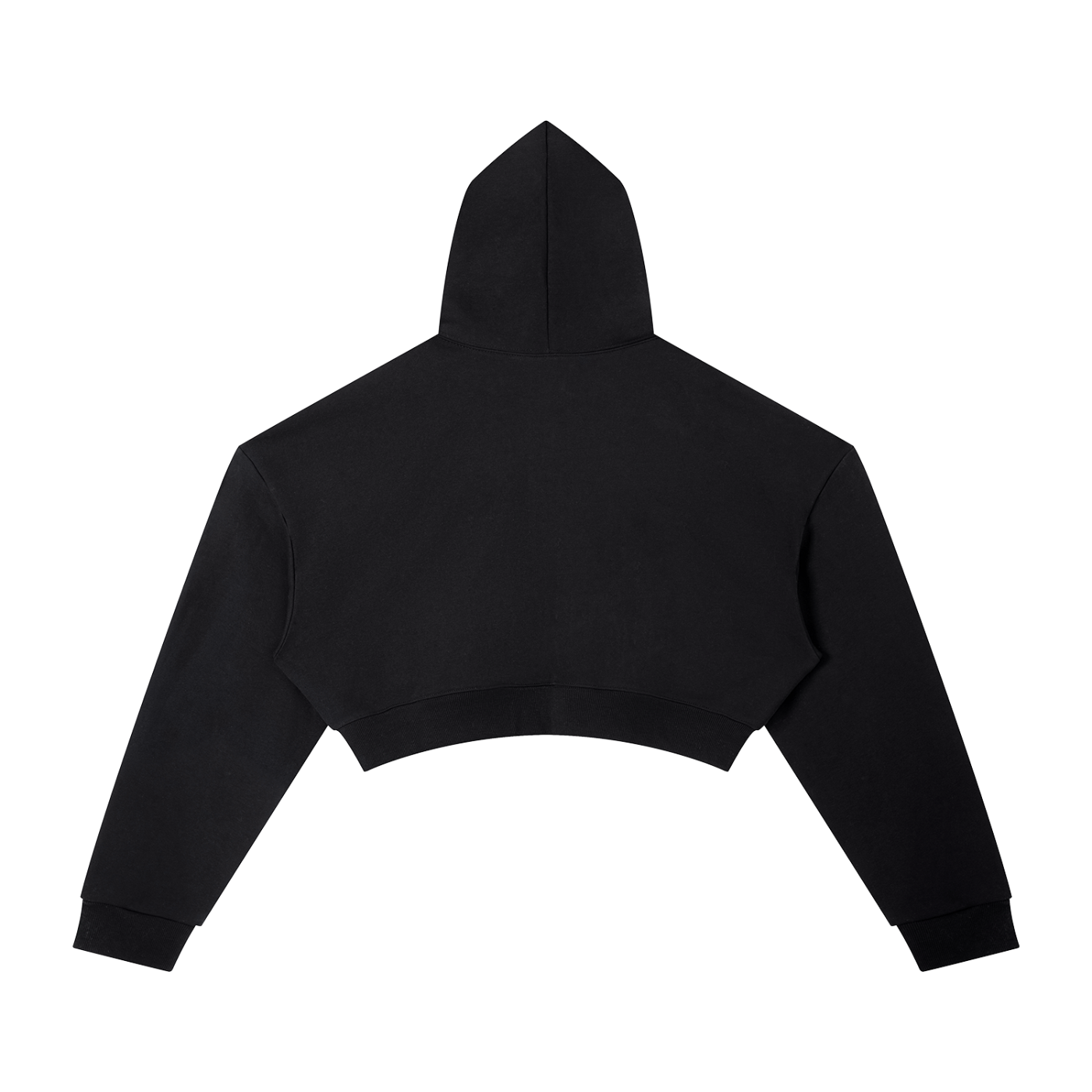 Penmanship Essential Cropped Hoodie
