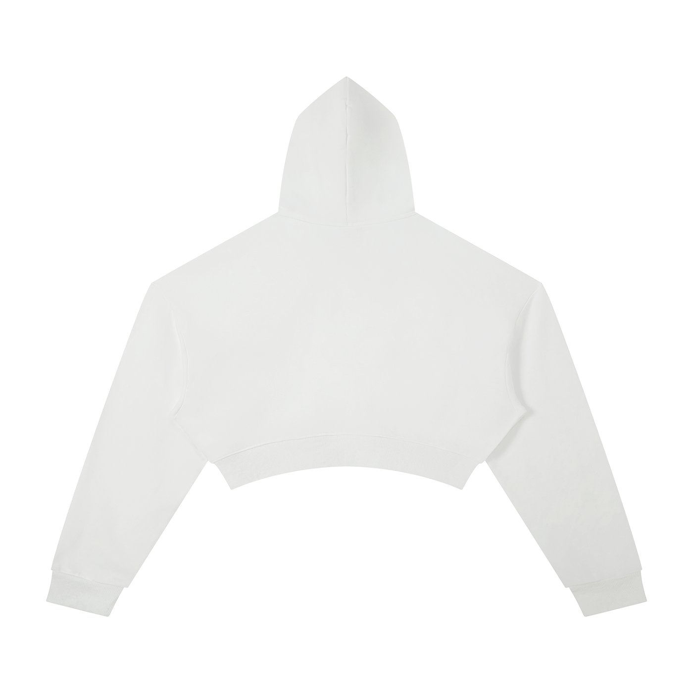 Penmanship Essential Cropped Hoodie