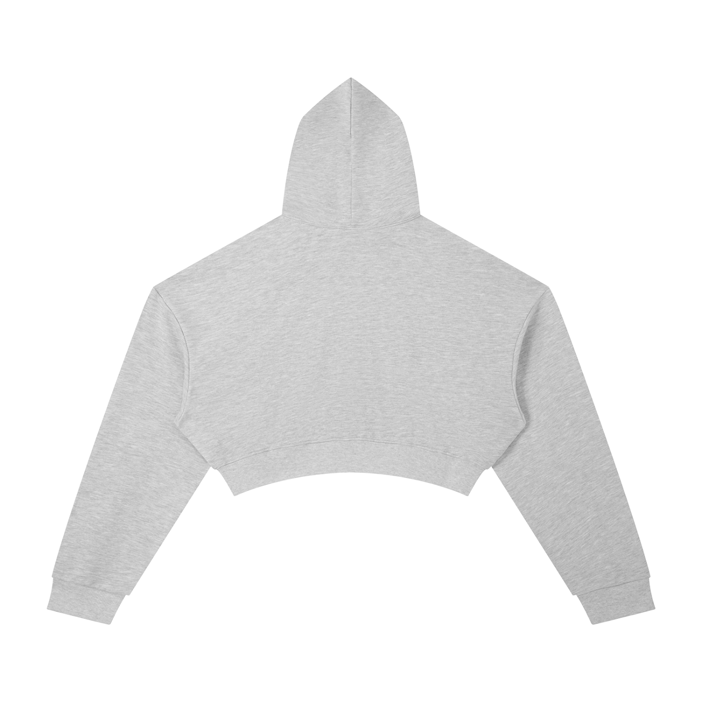 Penmanship Essential Cropped Hoodie