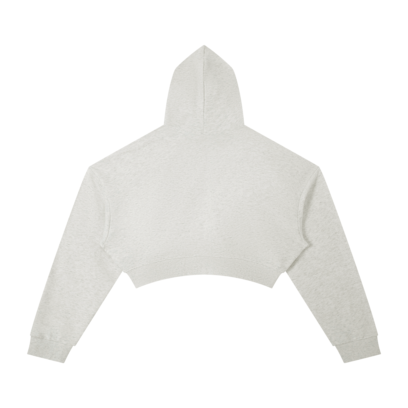 Penmanship Essential Cropped Hoodie